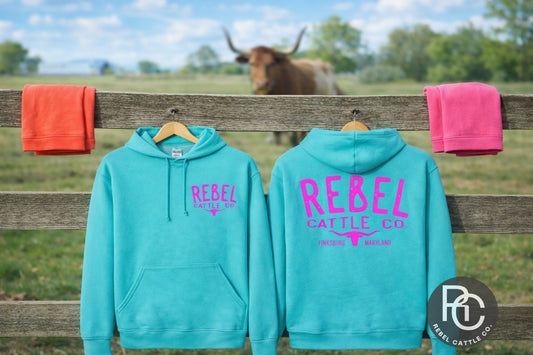 Spring Forward Hoodies